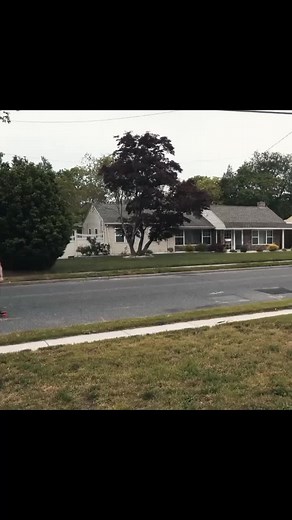 Gym Motivation with David Laid's Intense Workout