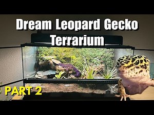 How to Create The Perfect Leopard Gecko Bioactive Terrarium | Part 2