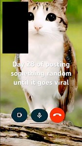 Day 28