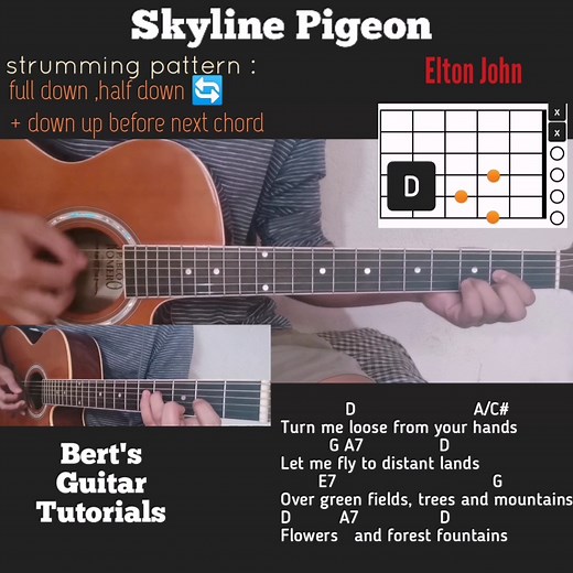 Skyline Pigeon - Elton John guitar chords w/ lyrics & strumming tutorial | Bert's Guitar Tutorials