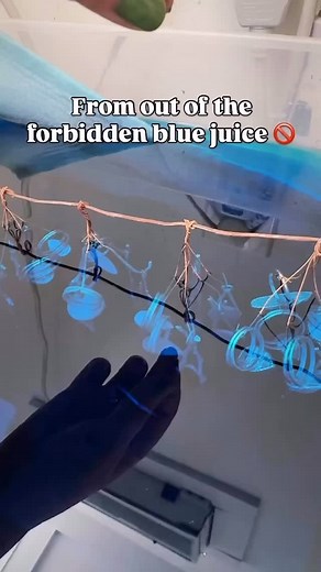 12K views · 25 reactions | Is “cooking” jewelry in a bath of acid strange behavior? Probably. But I’ve already committed to the lifestyle of a weird girl who owns too many tools. Blue juice forever. . . #electroformed #electroforming #electroformedjewelry #jewelrymaking | FoxLark Alchemy | Facebook