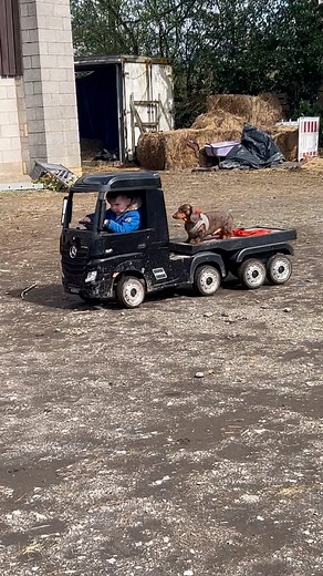 3.4M views · 80K reactions | Boy Hauls His Best Friend With His Toy Truck  | Lessons Learned In Life | Facebook