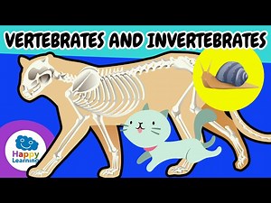 🐾✨ VERTEBRATE and INVERTEBRATE Animals | Educational Videos for Children | @HappyLearningENG - Videos For Kids
