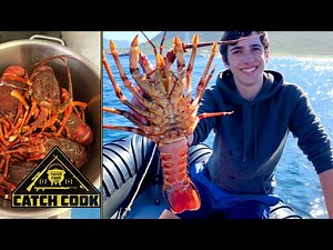 Catching crayfish with a ring net (west coast rock lobster) catch cook
