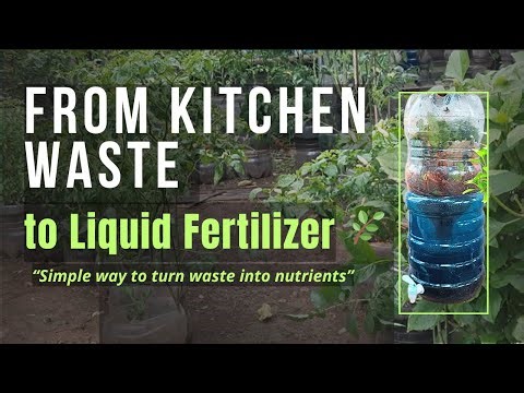 From Kitchen Waste to Liquid Fertilizer | Easy Organic Compost for Any Plant