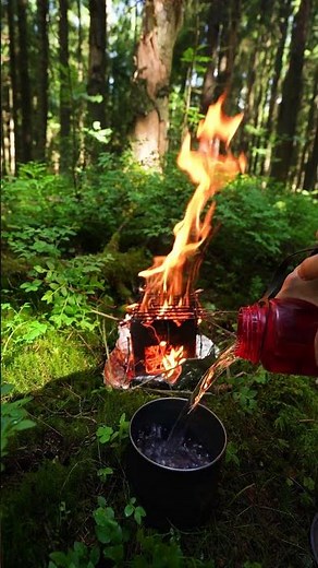 Morning Coffee in the Woods | Bushcraft ASMR #campfire #coffeeoutdoors