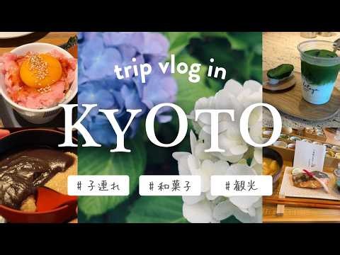 初夏の京都、和菓子がこんなに美味しいなんて【子連れ旅行vlog】