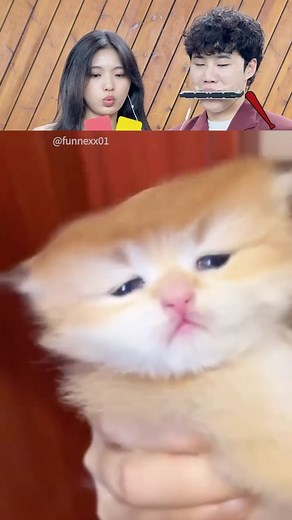 Try not to laugh challenge 321 ‼️ | happy_been