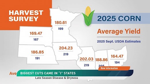 Farm Journal Survey Signals 2025 National Corn Yield Could Fall Short of 2024