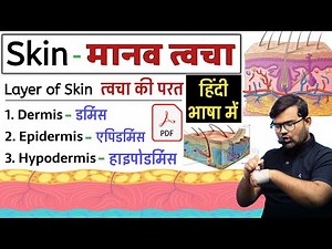 Skin Structure | त्वचा की संरचना | Skin Layer | Skin Anatomy And Physiology | Anatomy And Physiology