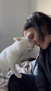 13K views · 265 reactions | Talking to your cats matters. Here’s what...