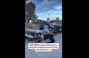 Woman Gets Dropped By Police For Resisting Arrest | TrollAlley.com