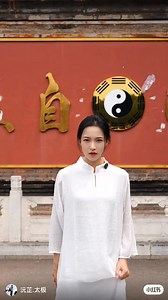 Let's pass down Tai Chi together. Can you block this move with 20 years of skill? #practicemakesperfect #taijiqigong #taichi #taichimaster #chinesemartialarts #martialarts #karate | YUAN Zhi. tai chi Fans