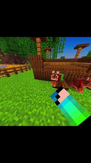 minecraft funny dogs #phonk #minecraft #minecraftserver #gaming #memes