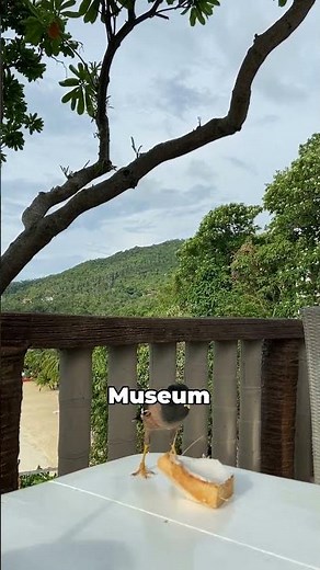 Exploring Fremantle: The Must-See Gem of Australia