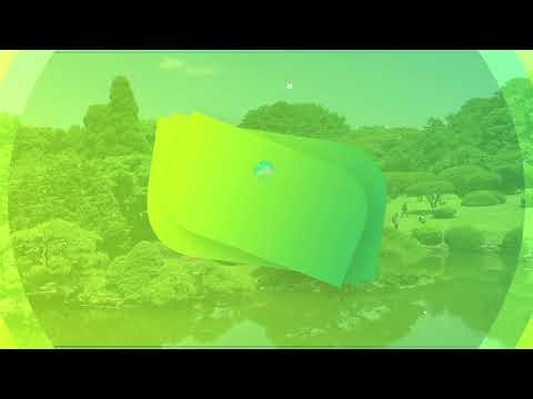 Bonsai meaning and symbolism