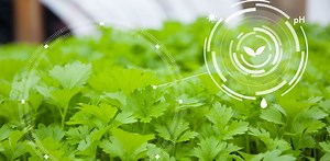 Comment les nanotechnologies pourraient provoquer d’énormes changements en agriculture