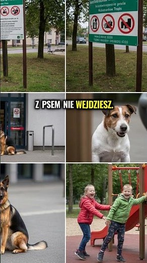 Gdzie możesz wejść z psem? Prawo w Polsce 🐾