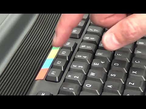 Absolute Alignment Insert New Car Data