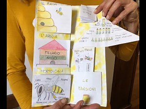Lapbook api, scienze scuola Primaria - maestra Manuela