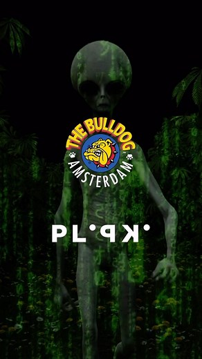 6.6K views · 32 reactions | Creepin’ it real  Come join us for Halloween in Amsterdam this month. Tickets for Amsterdam Alien Immersion are now available via the link in bio. You snooze, you lose! #TheBulldog | The Bulldog | Facebook