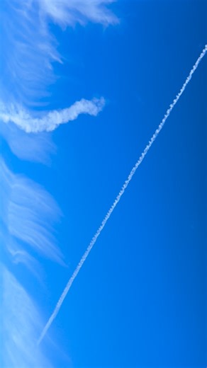 😵‍💫🖤🇺🇸 | Shannon Miller