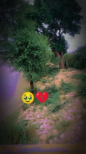 Gulab Rai (@g.l.brai)’s videos with original sound - Tharparkar20🦚🔘