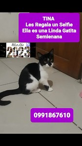 32 shares | TINA les Regala un Selfie para comenzar este año 2023 con...