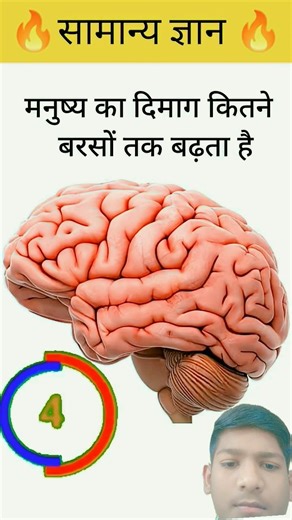मनुष्य का दिमाग कितने वर्षों तक बड़ता है #gk #gkhindustan#gkquiz #shivamgkquestion #gkquestion#trand
