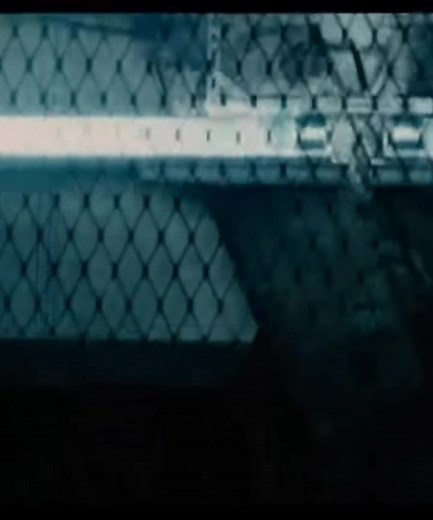 Pov: You're the first person in the glade #themazerunner #pov #gally #newt #themazerunner edits