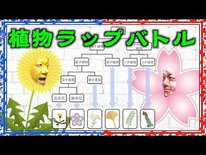 理科の授業を歌で勉強！【植物ラップバトル】植物の分類の覚え方！