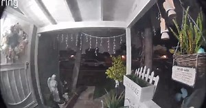 Ring camera catches strange sighting, owner suspects alien footage