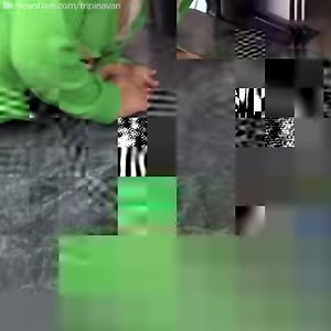 This kangaroo stopped by to visit a family — and he had such a good time, he came back with all his friends! | The Dodo