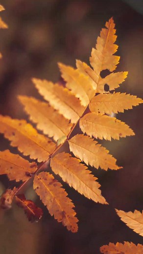 Canon400D Photos . . . . .#canon #canoncamera #canonnordic #photo #photography #photographer #bilder #camera #images #trending #tiktok