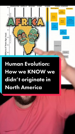 Human Evolution: Unraveling the Fossil Record