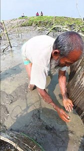 Amazing Traditional Hand Fishing | Catching Fish with Bare Hands! #fishing #villagelife