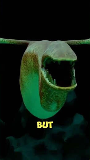 The Weirdest Creature That Ever Lived