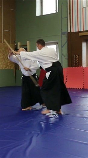 120 Aikido, Makiotoshi, Jo no Tebiki, Yufukan Moscow #aikido #iaido