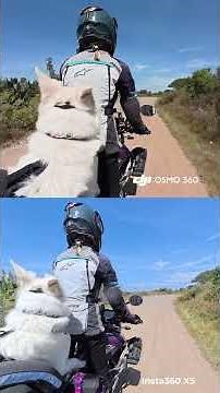 360 Camera Comparison – DJI Osmo 360 vs Insta360 X5 motorcycle