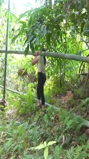 Build A Bridge Over The Stream To Avoid Floods part1 #build #building #pourtoi #Outdoors #survival #camping #camp #viral #shelter #farm #farmlife #farmlife | Alison Netherveth