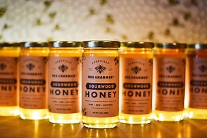 Honey and Cheese Pairings : 9 Delicious Gourmet Combinations