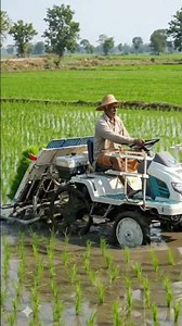 Modern Farming in Action | Mechanized Rice Farming for Higher Yields 🌾🚜