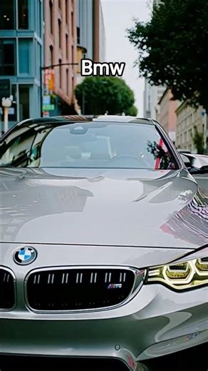 bmw edit ll