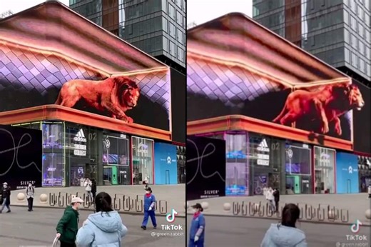 Watch: Breathtaking 3D displays of lion breaking out of screen is taking China by storm