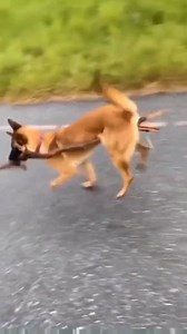 1.2M views · 49K reactions | funny moments fyp | UC HI HA | Facebook