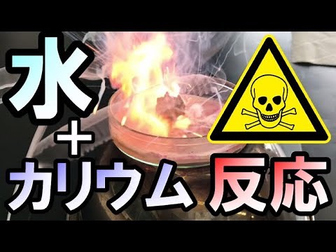 【危険物/高校化学】禁水性のカリウムと水の反応を確かめてみた（危険物第３類：禁水性および自然発火性物質）