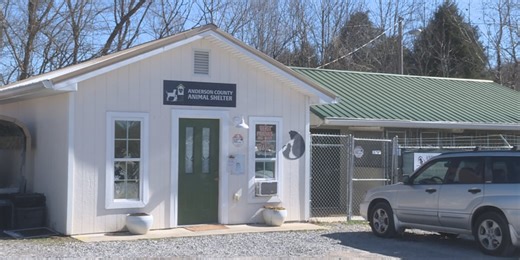 ‘Help with situations that come up’ | New committee could be coming to Anderson County Animal Shelter