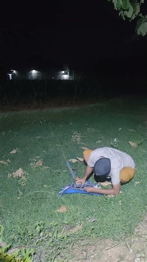 finally caught using this method of catching wild birds