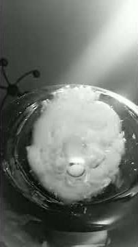 $2500 Bong Rips!! The Glory Begins!! Massive bong rips for the win! (Our 1St Video)