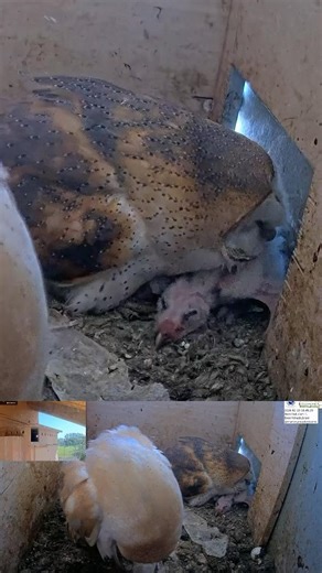 Look What Happens Here 👀 Mom Cleans, Dad Appears!